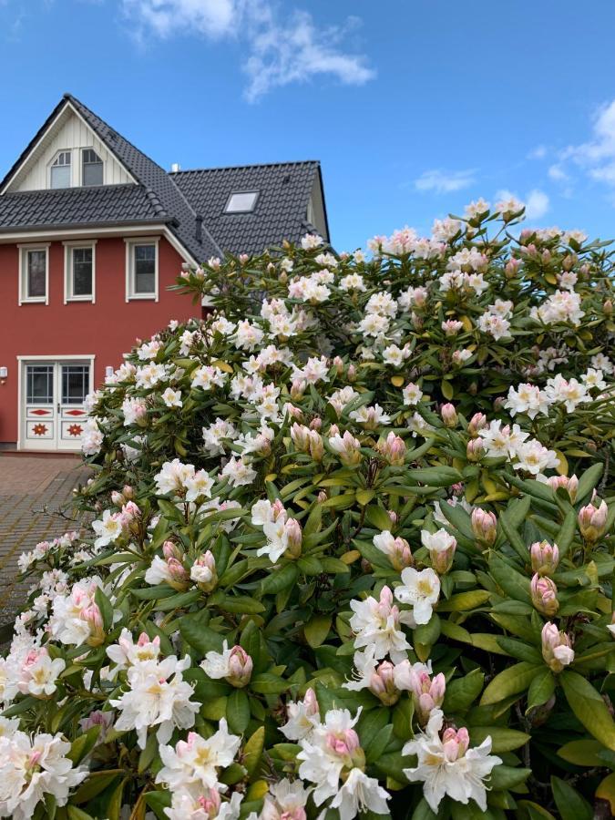 Ferienwohnung Strandgut - Kavelweg 9 - Zingst Kültér fotó