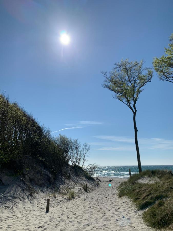 Ferienwohnung Strandgut - Kavelweg 9 - Zingst Kültér fotó