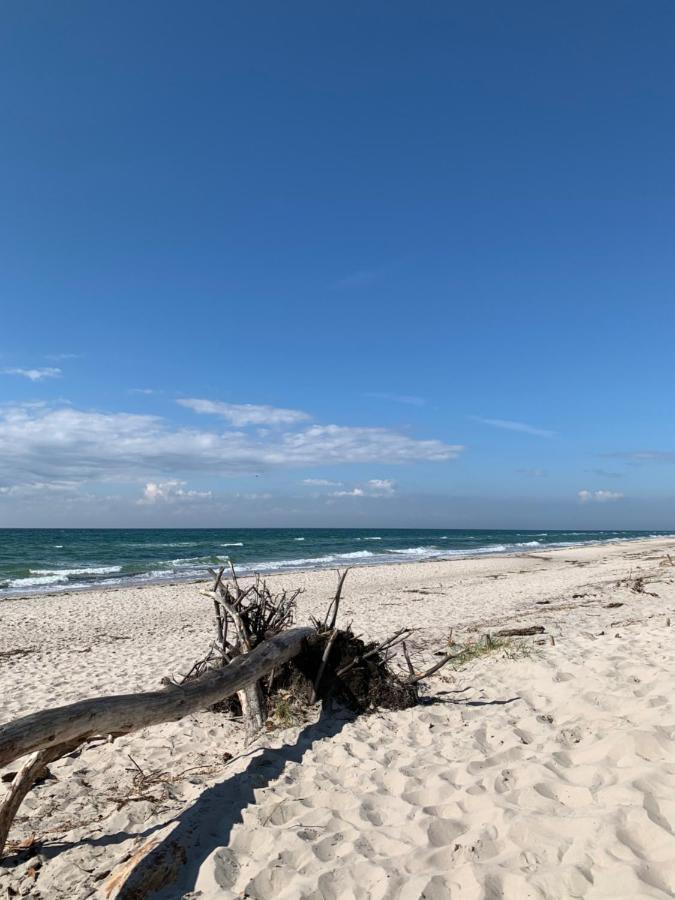 Ferienwohnung Strandgut - Kavelweg 9 - Zingst Kültér fotó